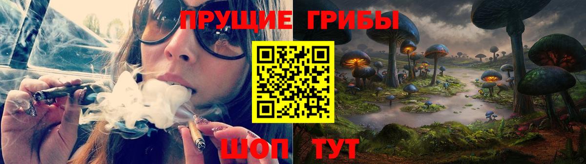 закладка  Псилоцибиновые грибы мицелий  Керчь  Вход с VPN  Галлюциногенные грибы GOLDEN TEACHER 